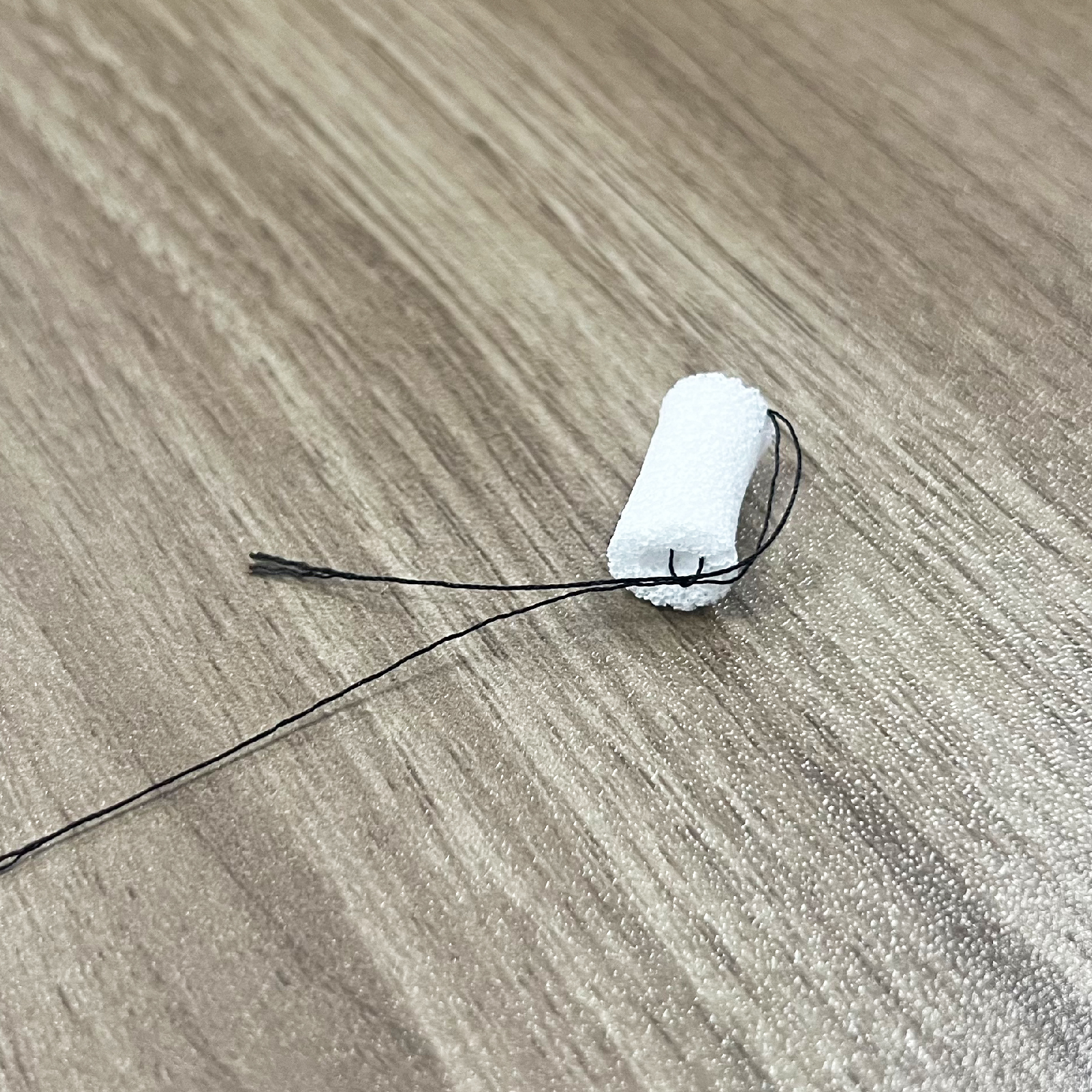  Ear wick