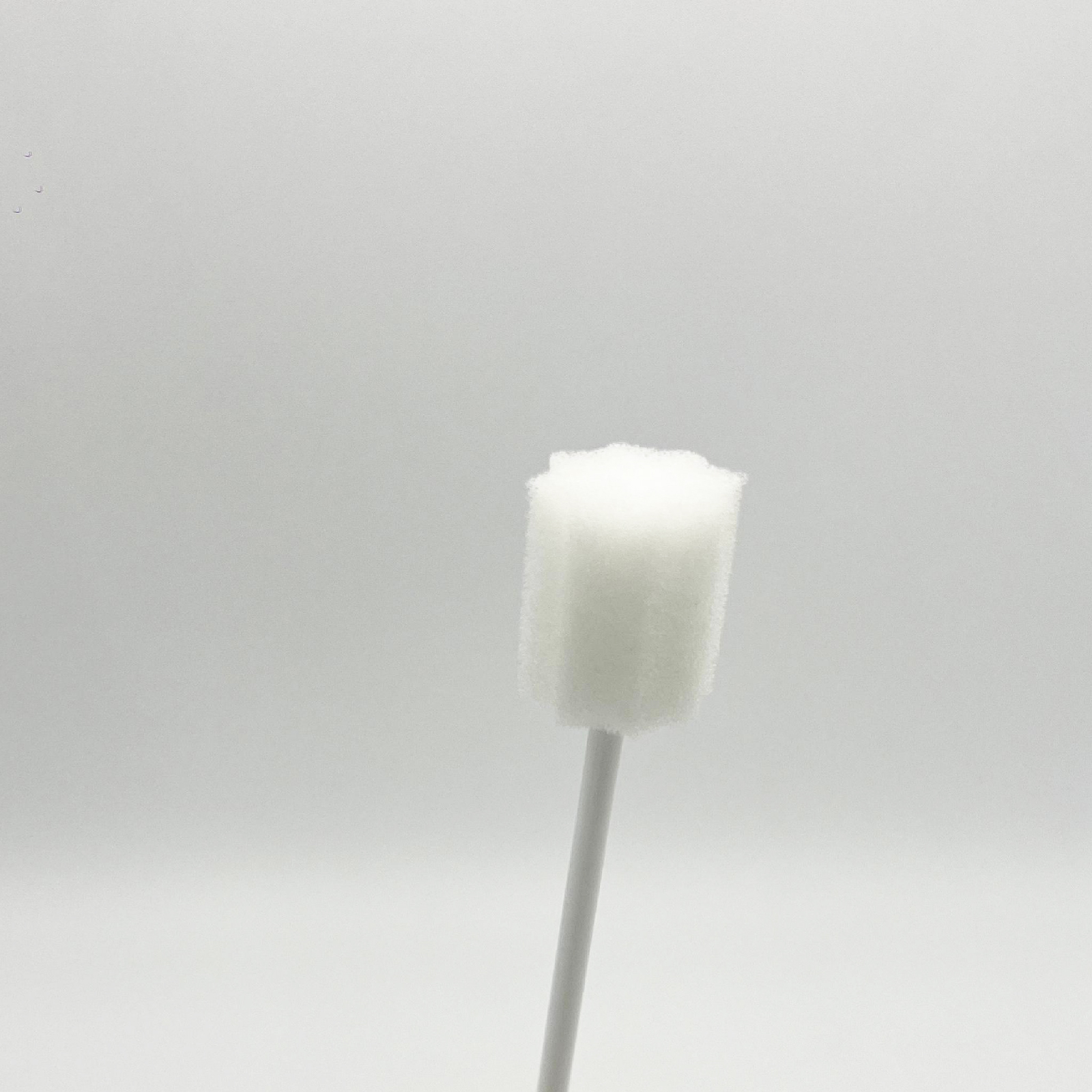 For Home Use Cleaning Oral Sponge