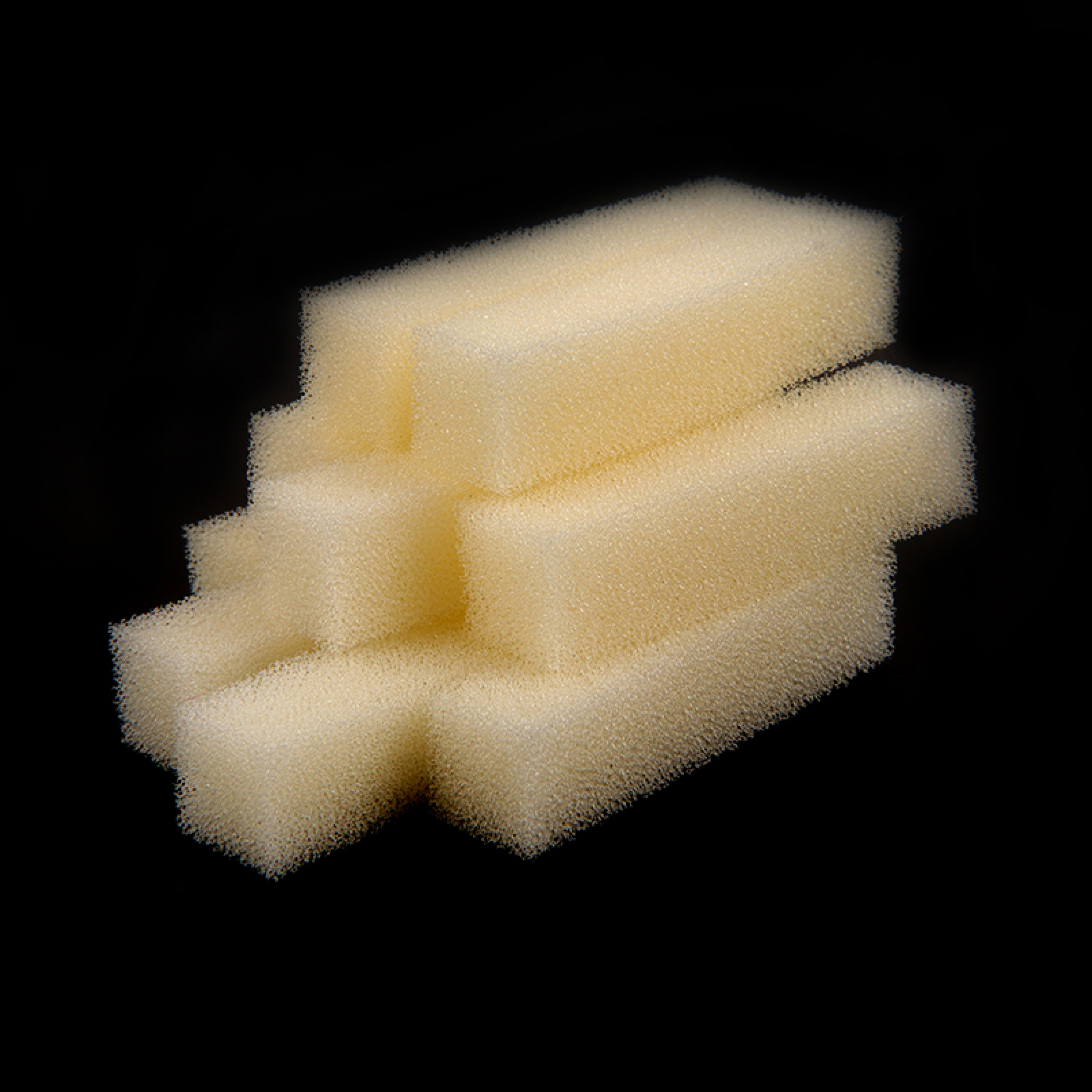 Collect Saliva Sponge