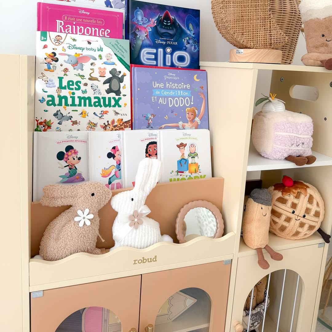 ROBUD Toy Storage Organizer