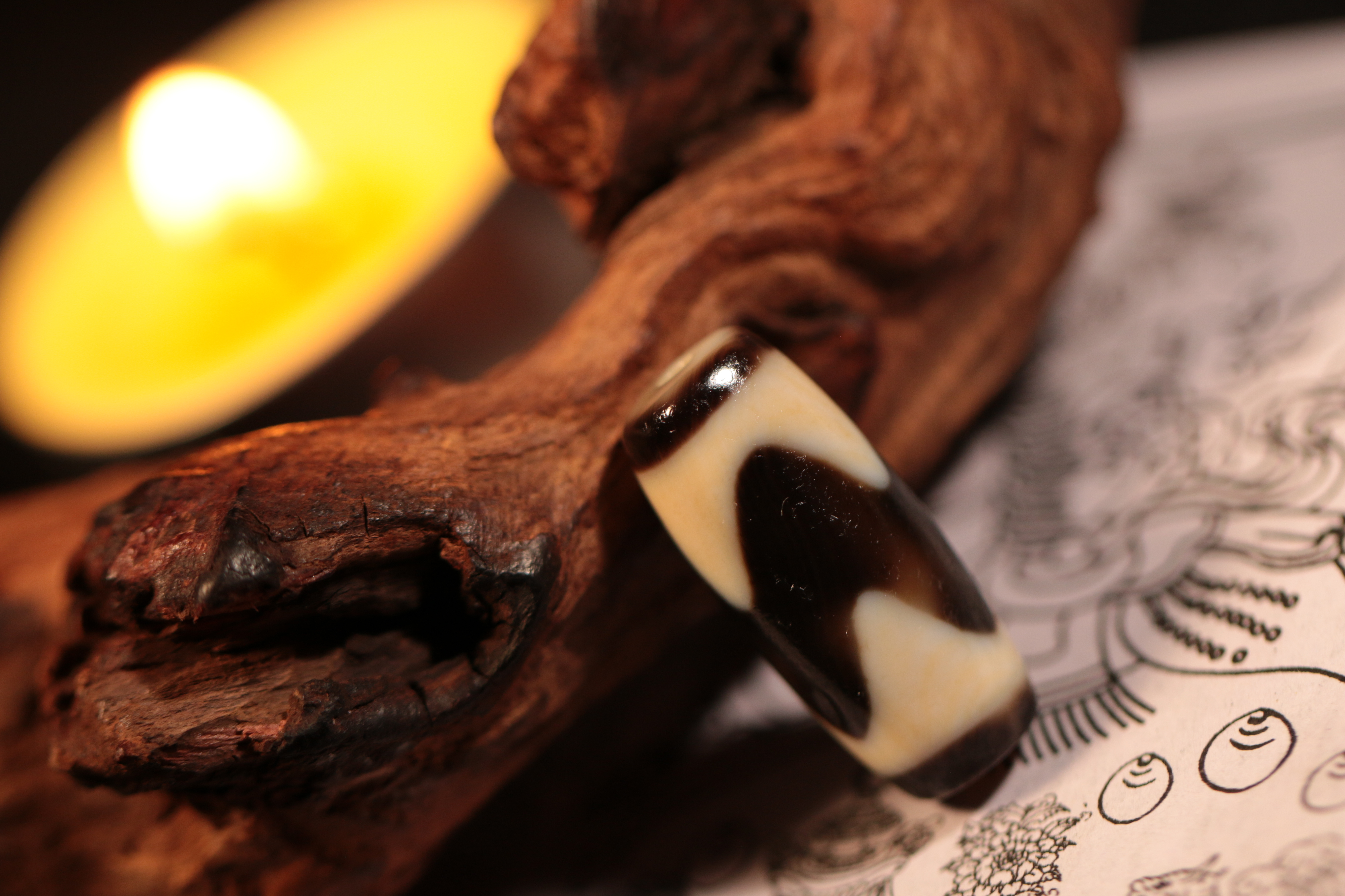 Tiger Tooth Dzi Bead（Unique ID:tz-22-1164）