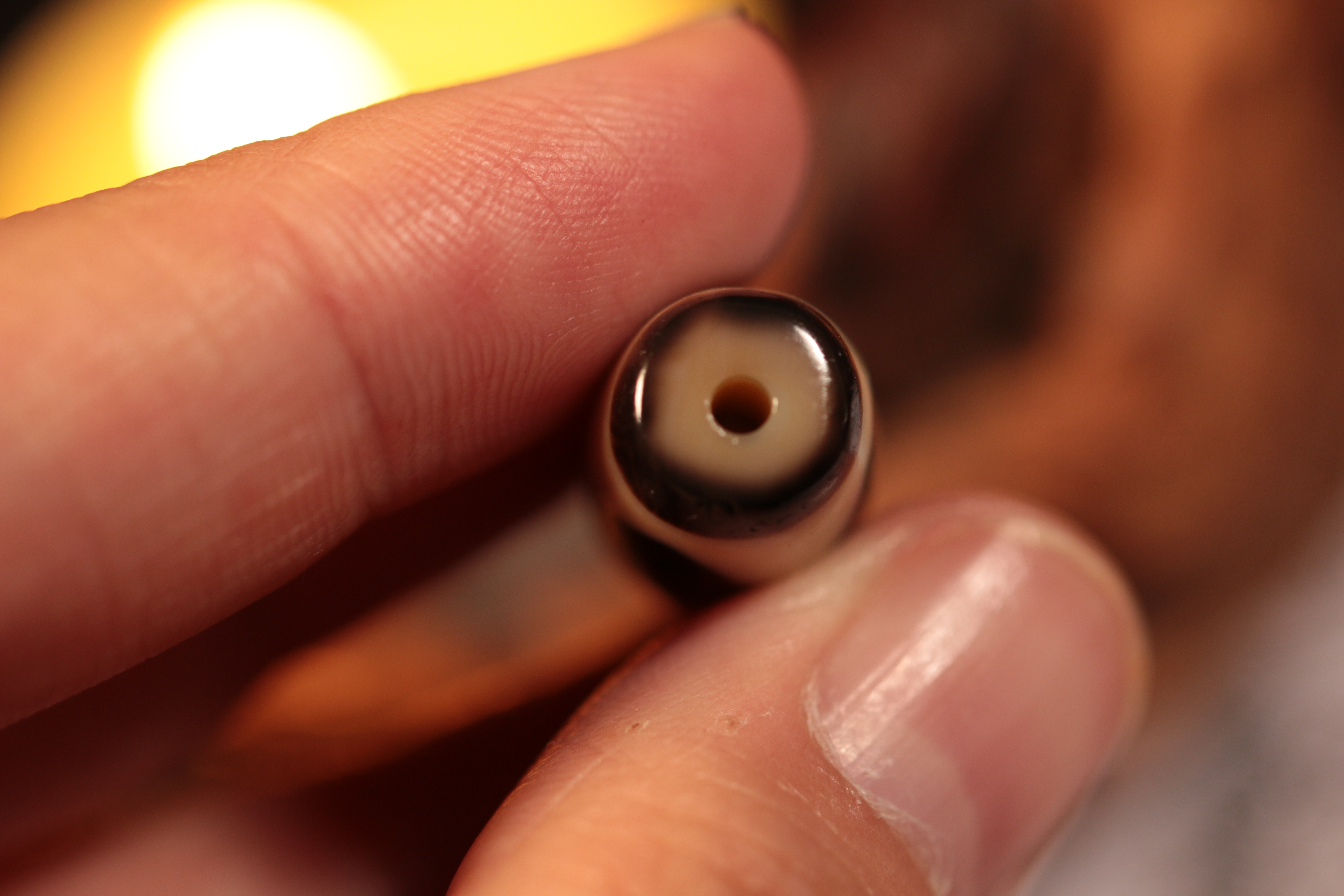 Tiger Tooth Dzi Bead（Unique ID:tz-22-1164）