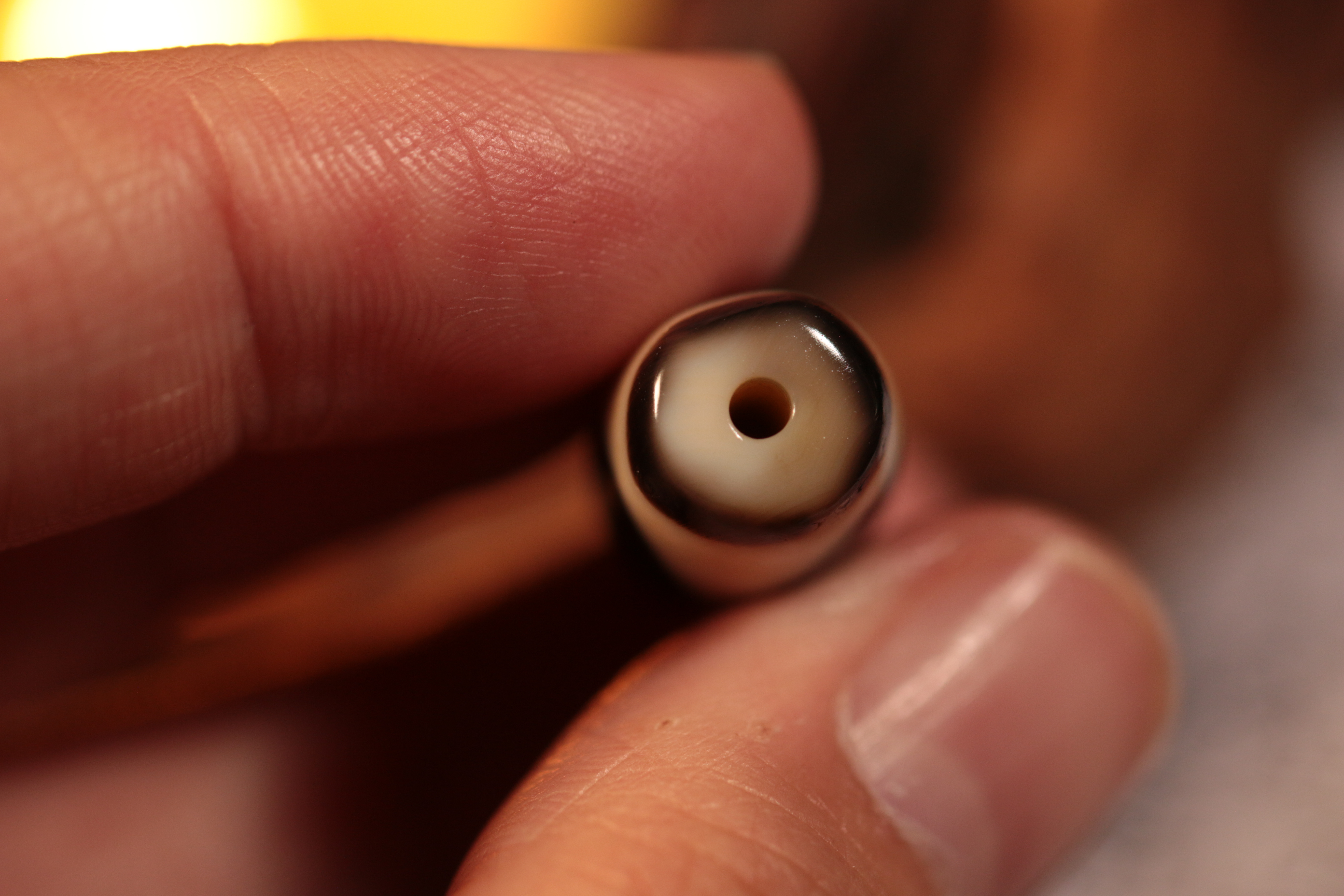 Tiger Tooth Dzi Bead（Unique ID:tz-22-1164）