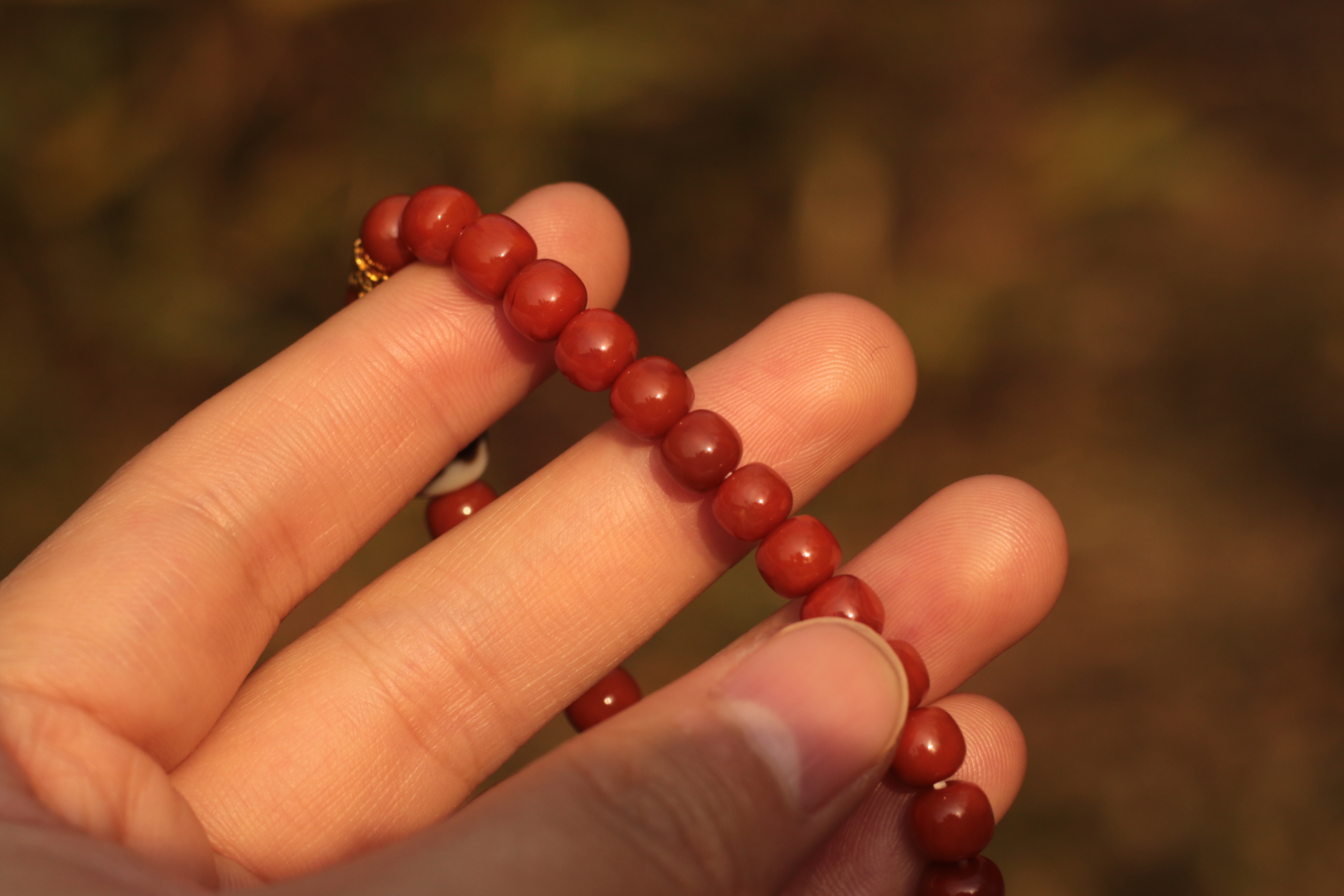 Nan Hong Agate "Treasure Vase" Dzi Bead Bracelet（Unique ID:cp-1-5967）