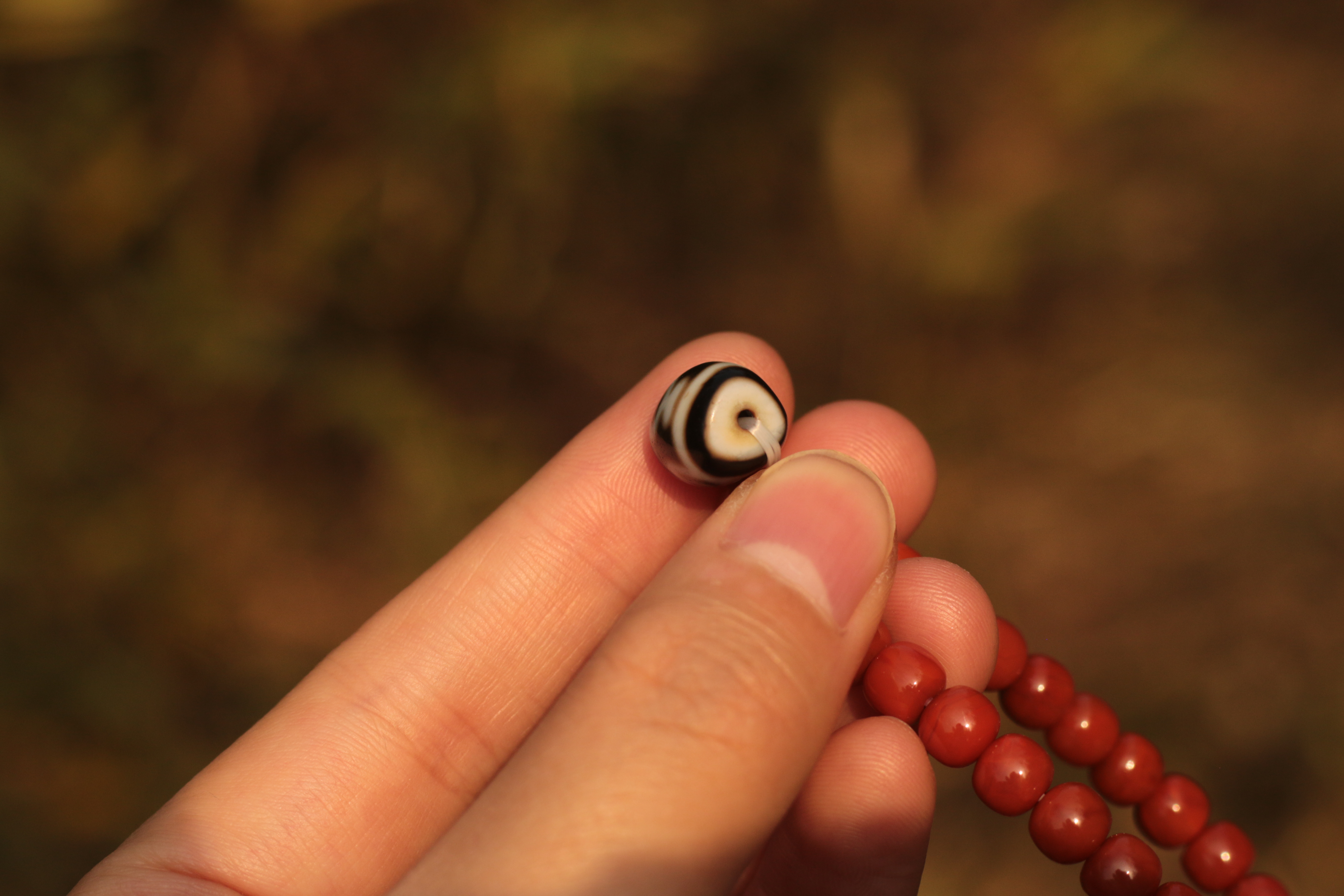 Nan Hong Agate "Treasure Vase" Dzi Bead Bracelet（Unique ID:cp-1-5967）