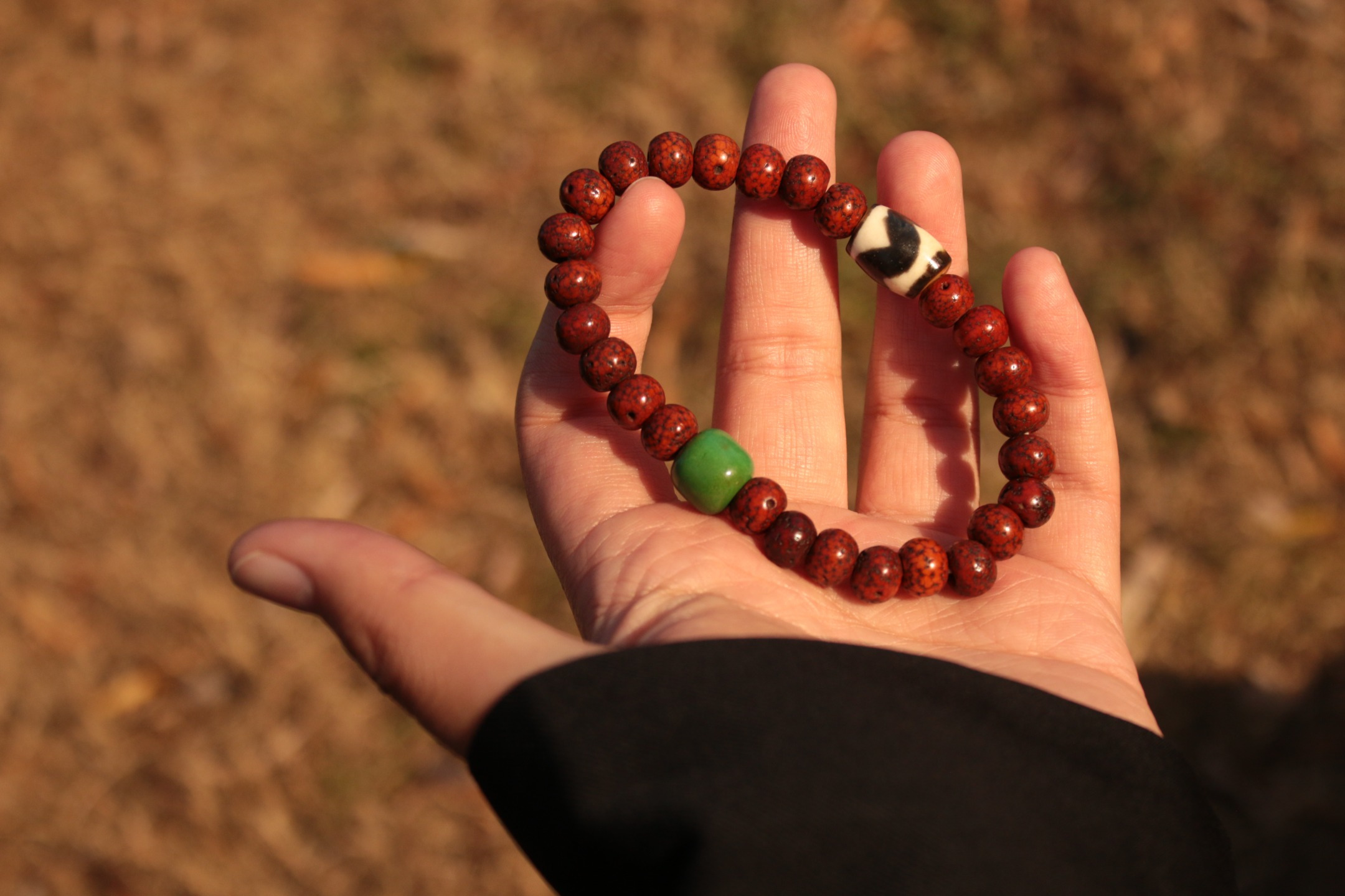 Star-and-Moon Bodhi & Tiger-Tooth Dzi Bead Bracelet（Unique ID:cp-1-5950）