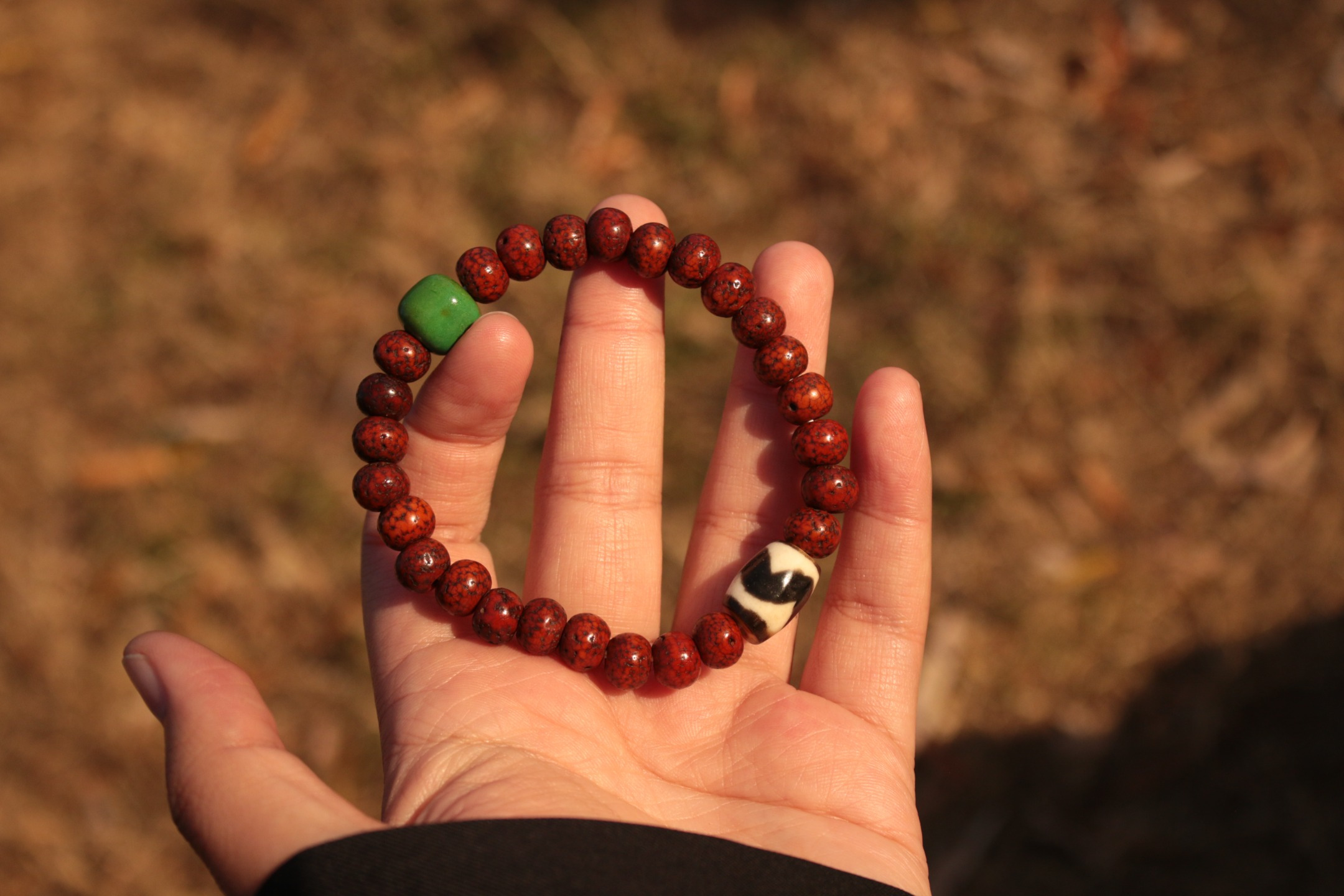 Star-and-Moon Bodhi & Tiger-Tooth Dzi Bead Bracelet（Unique ID:cp-1-5950）