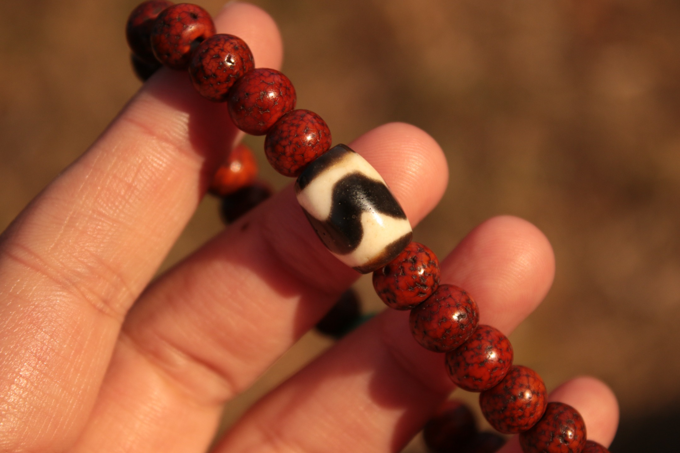 Star-and-Moon Bodhi & Tiger-Tooth Dzi Bead Bracelet（Unique ID:cp-1-5950）