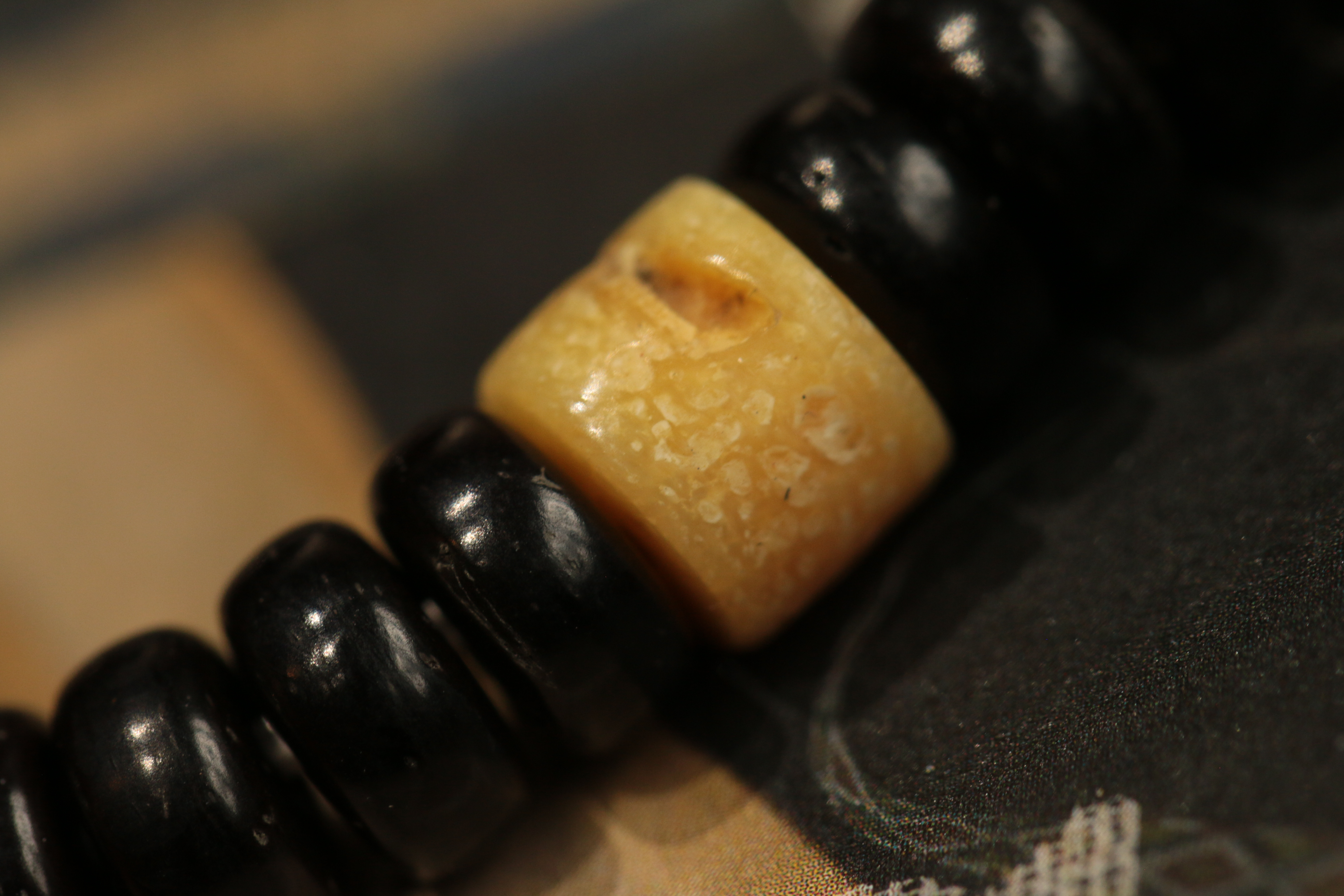 Tiger Tooth Dzi Bead and Coconut Shell Bead Bracelet（Unique ID:cp-1-4348）