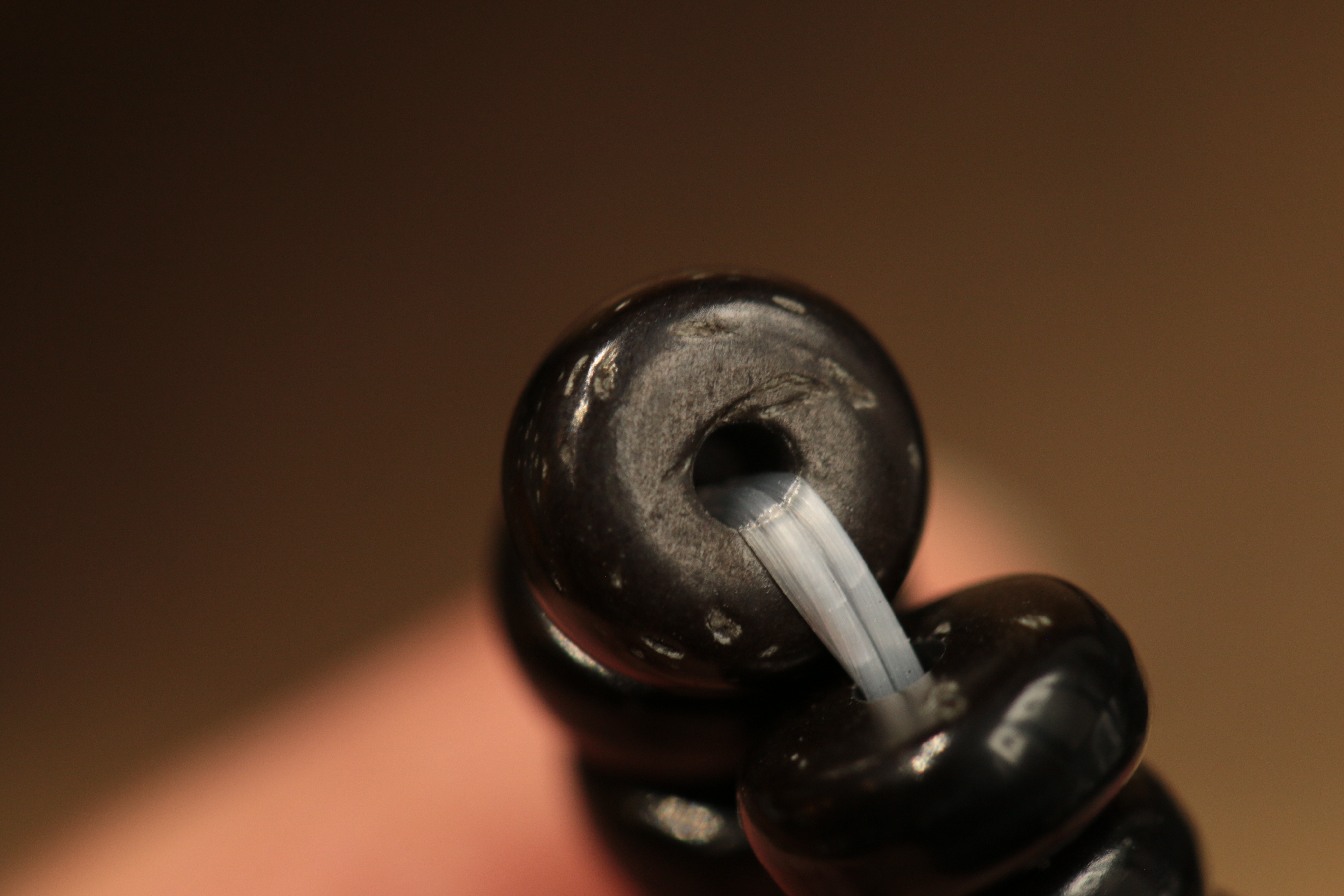 Tiger Tooth Dzi Bead and Coconut Shell Bead Bracelet（Unique ID:cp-1-4348）