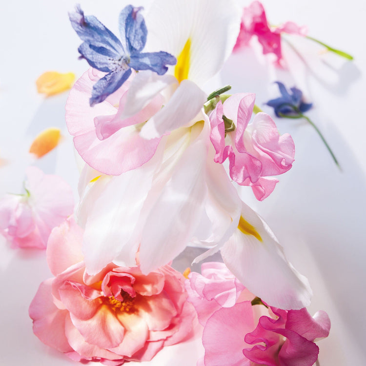 DIOR Miss Dior - EDP 100ml