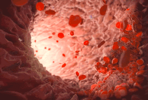 1742629414369401.gif 1741093426557331.gif