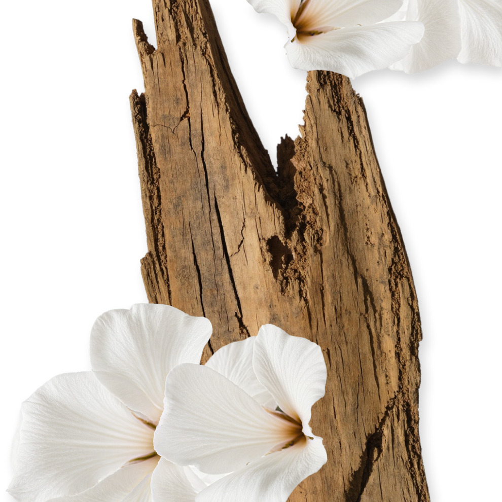 Parfums de Marly VALAYA - EDP 75ml