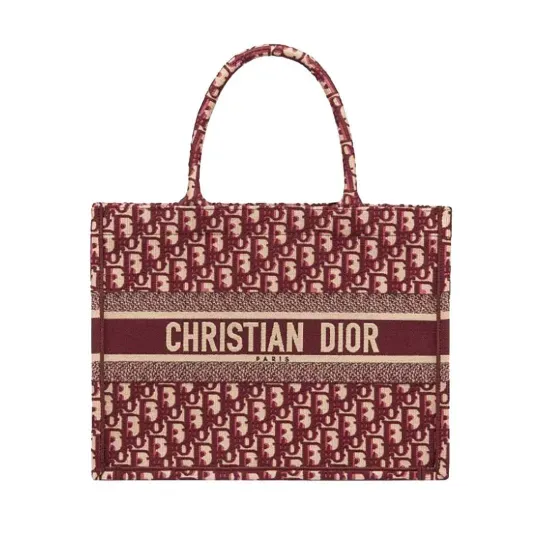 【DIOR】BOOK TOTE BAG 新木優子同項 セレブ芸能人御用達・国内発 Diorキャンバスブックトートバッグ
