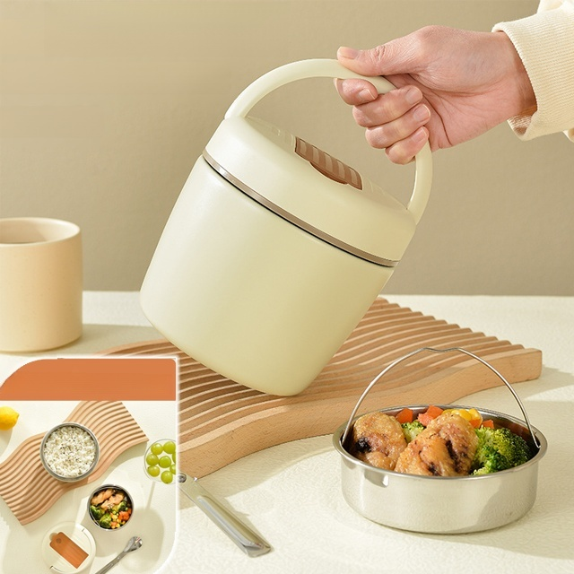 Portable insulated lunch box