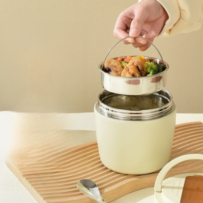 Portable insulated lunch box