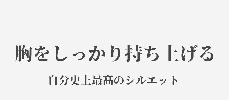 ブラジャー 小さく見せる 胸をしっかり持ち上げる ヴェーミア