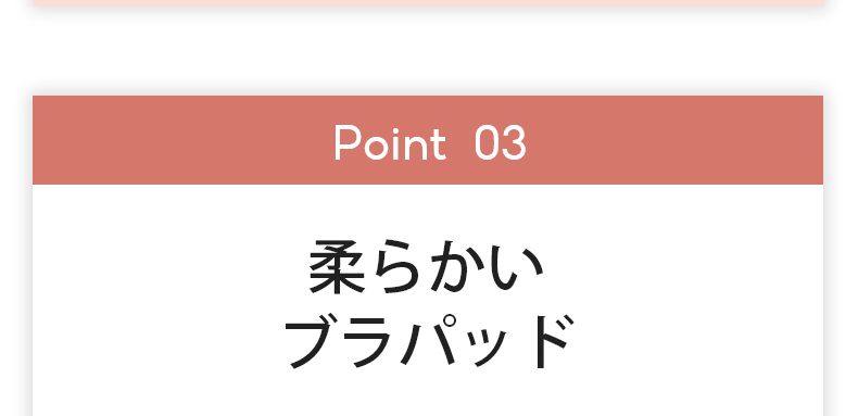 大きいサイズブラ 柔らかいブラパッド ヴェーミア