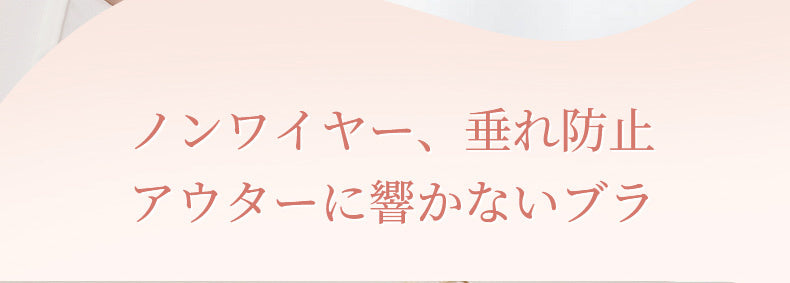 大きいサイズブラ ノンワイヤー ヴェーミア