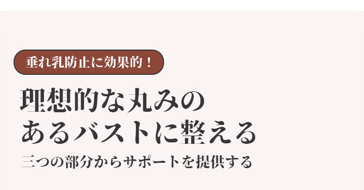 ブラジャー 小さく見せる 理想的な丸み ヴェーミア