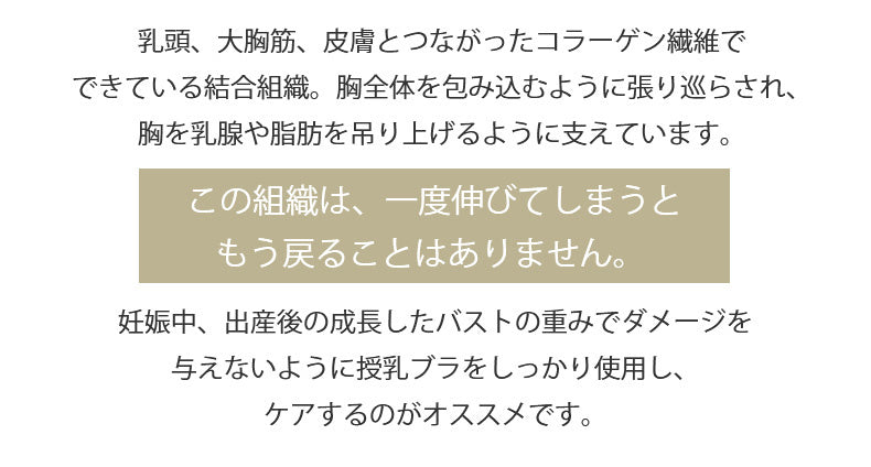 授乳ブラ おすすめ 特徴 ヴェーミア