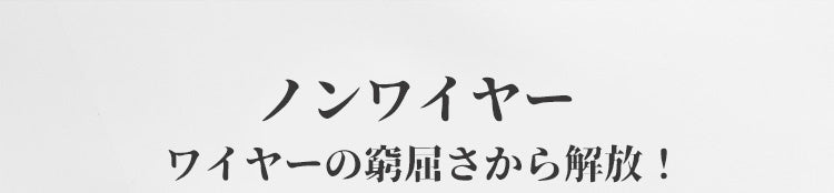 胸が小さく見えるブラ ノンワイヤー ヴェーミア