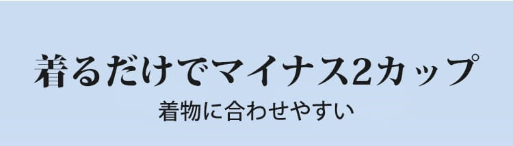 さらしブラ 着物に合わせやすい ヴェーミア