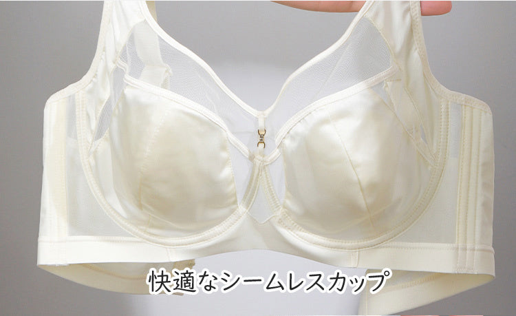 胸を小さくするブラ シームレスカップ ヴェーミア