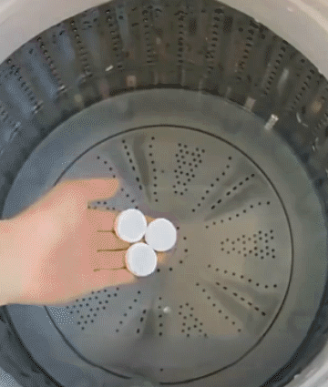 6.gif