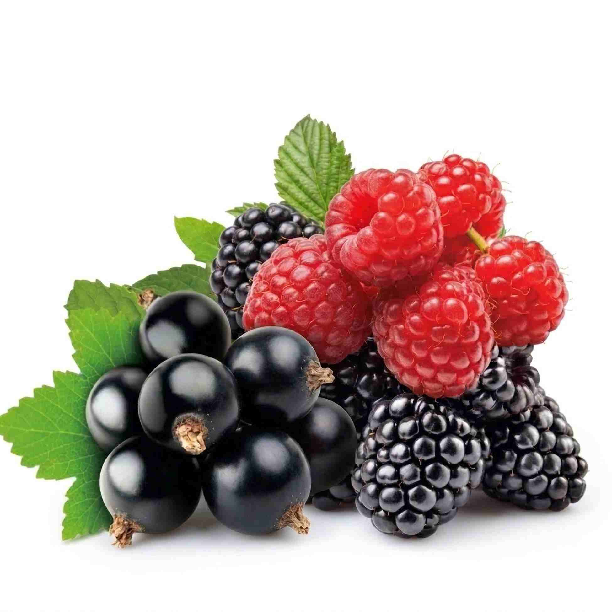 ALIBARBAR Ingot 9000 | The Gold Standard of Disposable Vaping