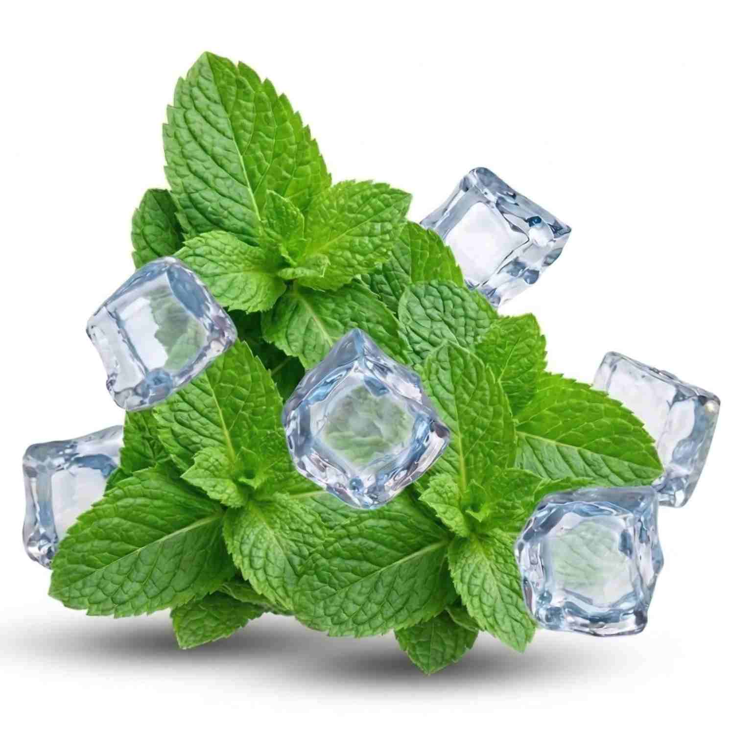 ALIBARBAR Ingot 9000 | The Gold Standard of Disposable Vaping