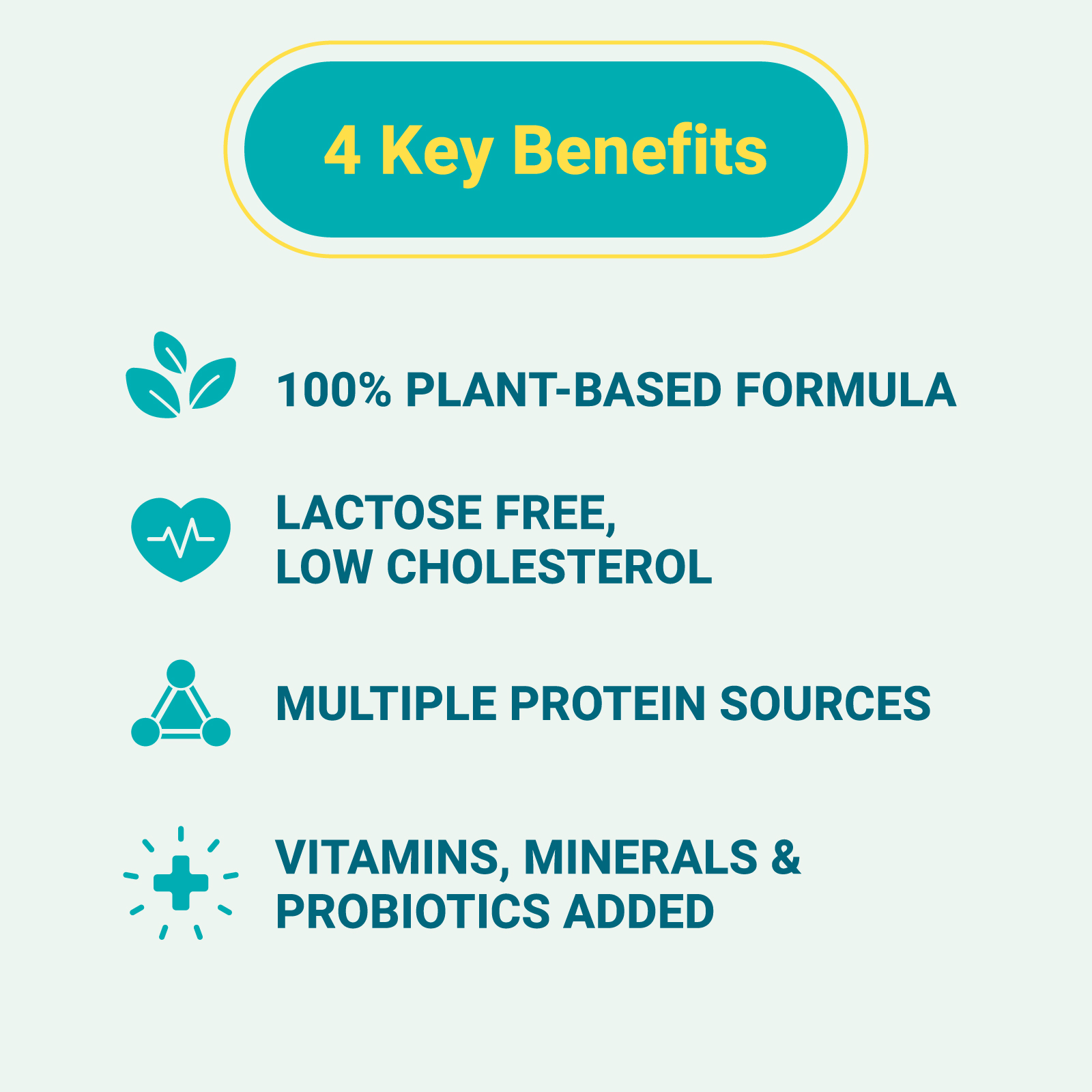 【THE VEGAN】Classic Plant-Based Protein 1KG - Chocolate
