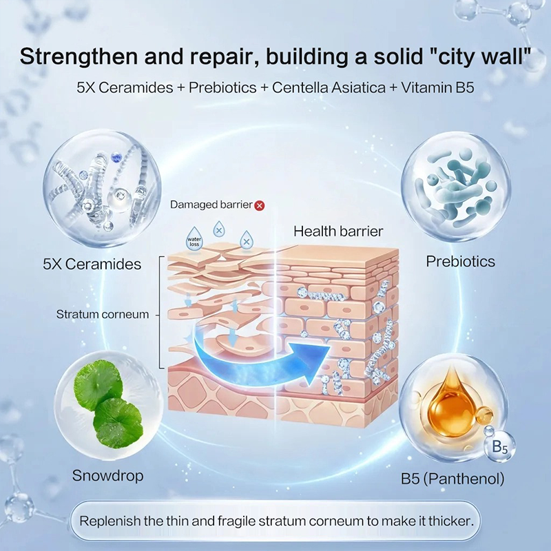 Early-Aging Prevention & Total Barrier Repair Set