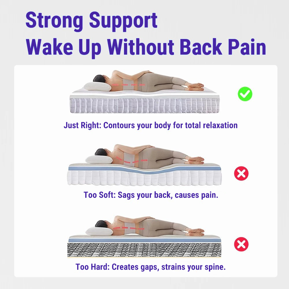 Moonzz 17cm Thick Spring Mattress 10 Year Warranty Medium Firm Foam Bed Ergonomic Mattress