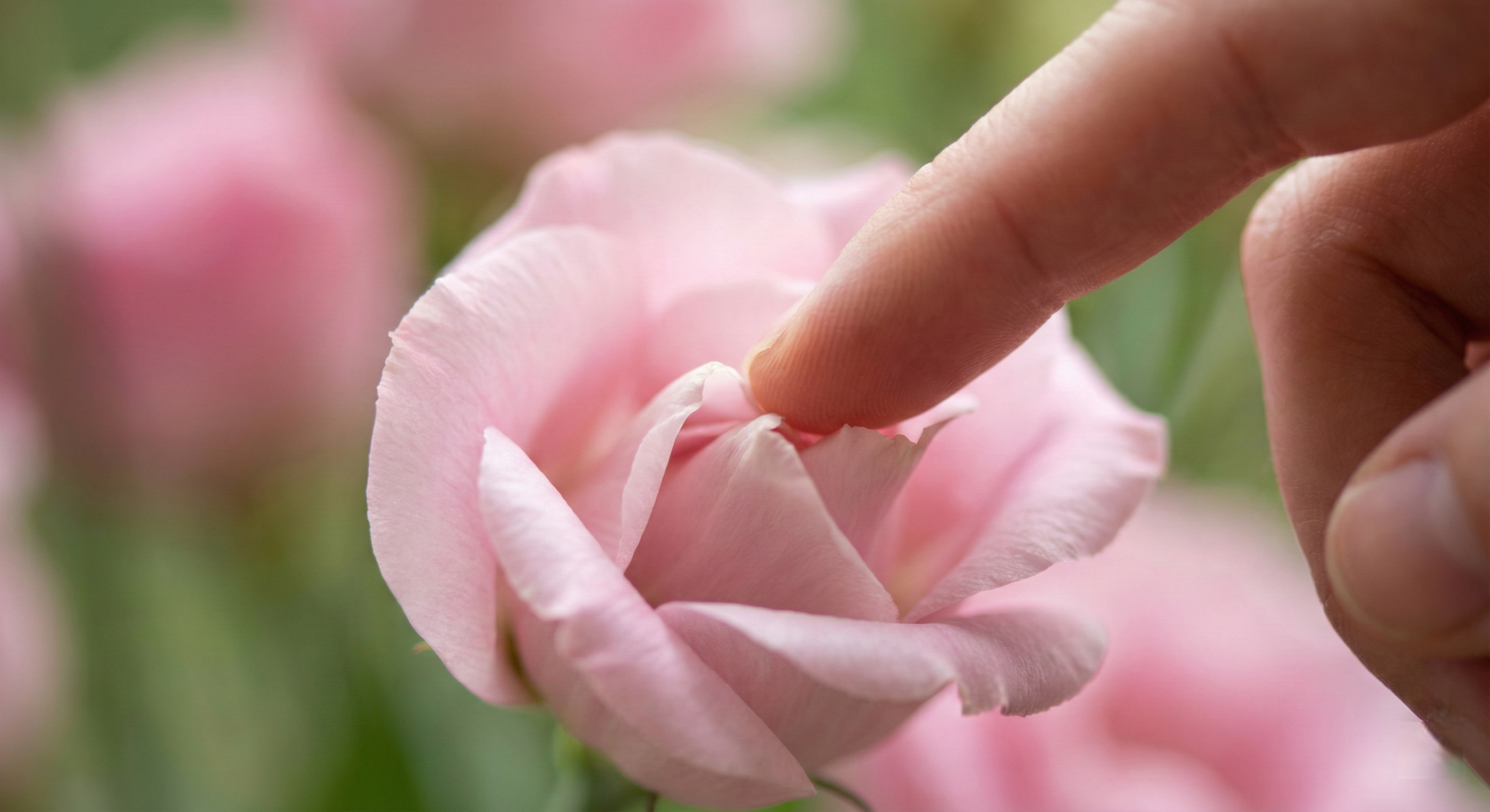 只需5招口交技巧,讓她酥麻高潮! 4 口交技巧