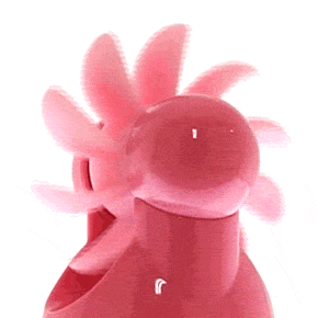 MyToys Kiss 舌輪旋轉刺激器