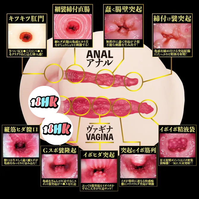 NPG 深田詠美 2穴生桃尻名器