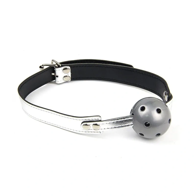 Roomfun BDSM Kit ZW008 Bedroom Restraint Kit 口塞