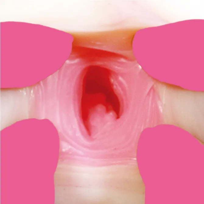 RUBY（日本）極上生名器 成宮彩葉 女優飛機杯 TJGN-023
