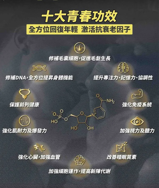 力神 NMN 19800+ 男性回春丸