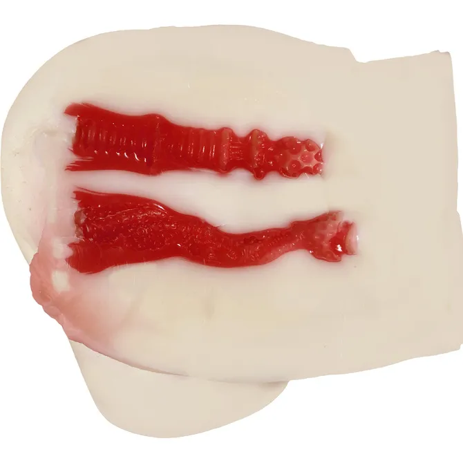 NPG（日本）4代目迷你極上生腰 橋本有菜 女優飛機杯