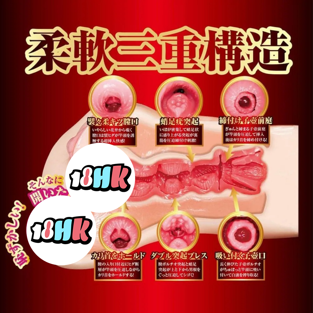 NPG(日本) 榮譽の名器 橋本有菜 FM X JNPG 聯乘作