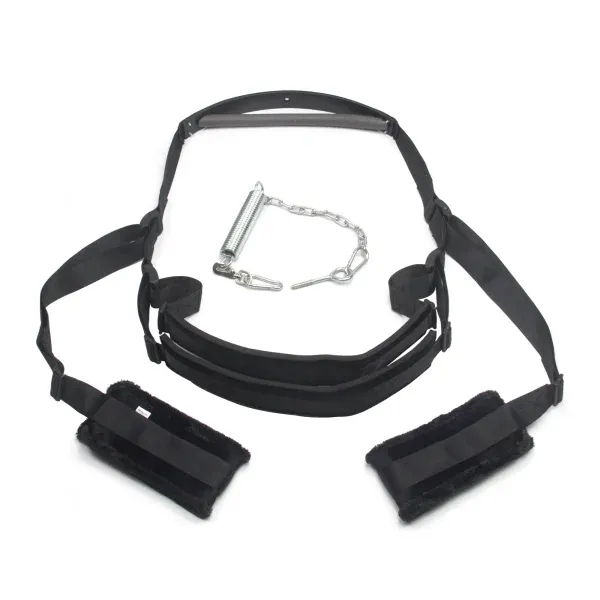 Roomfun Trapeze Artist Sex Swing 空中吊架束縛組 BDSM懸吊道具