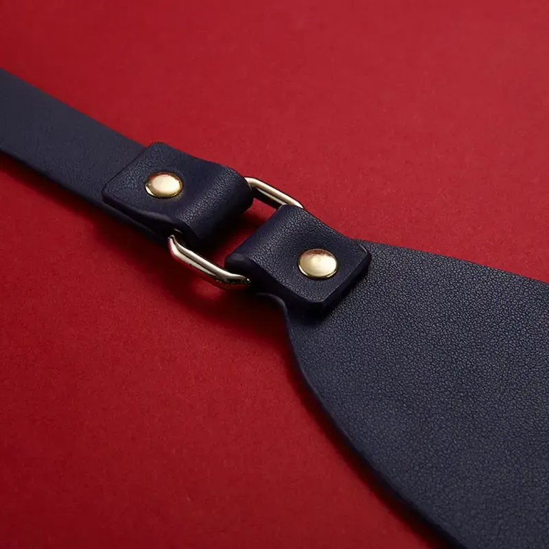 Roomfun 仿皮眼罩 BDSM 遮光眼罩