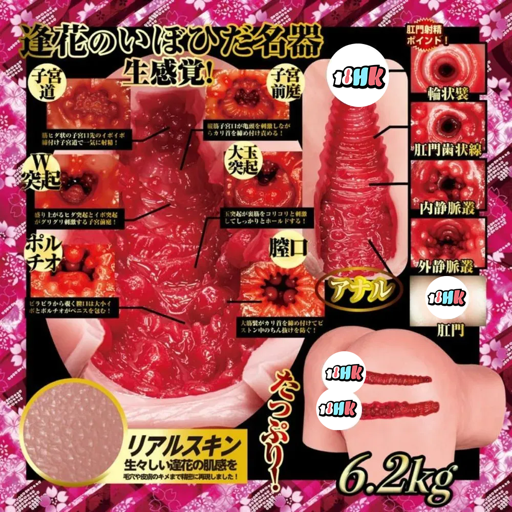 NPG 日本 山岸逢花 雙穴名器