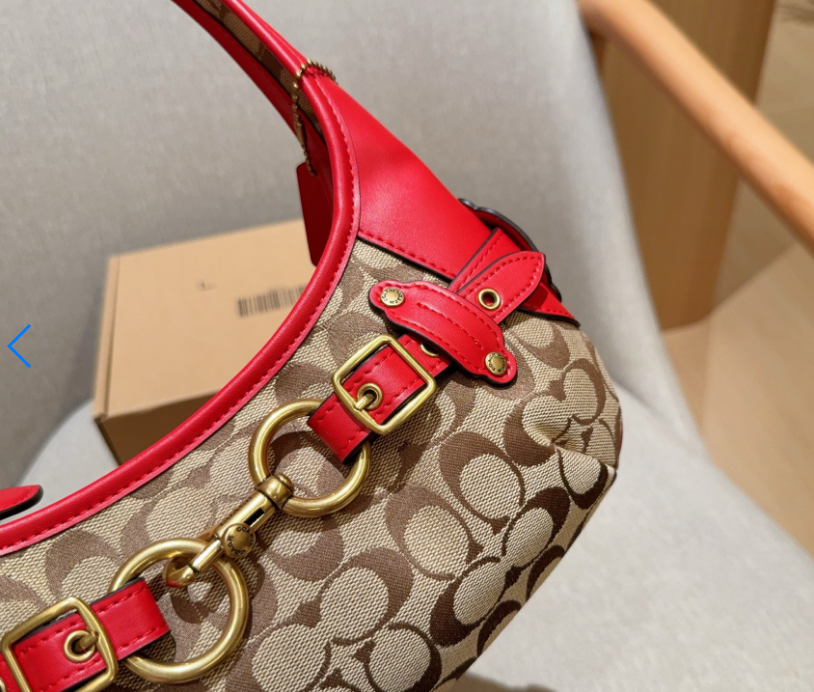 【HK】COACH コーチ ワンショルダー エルゴ ホーボー レザー 希少色 HK】COACH コーチ ワンショルダー エルゴ ホーボー レザー 希少色