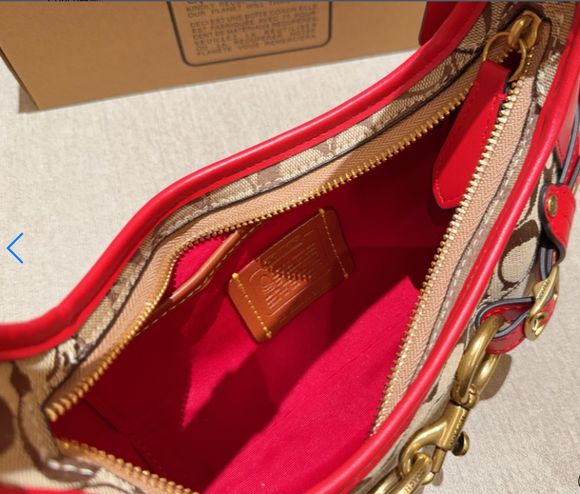COACH コーチ Ergo エルゴ シグネチャー ワンショルダーバッグ ヴィンテージライク レディース