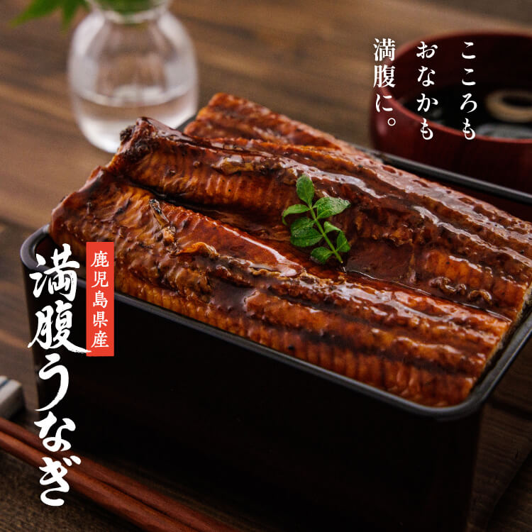 鹿児島県産うなぎ無頭蒲焼220g×1尾