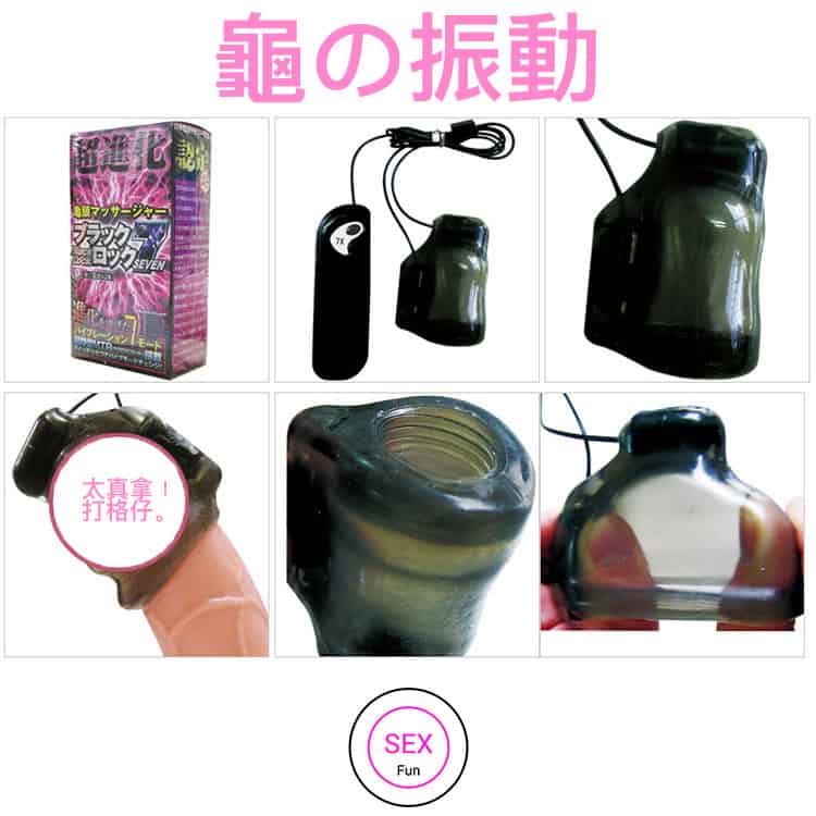 龜之振動-Toys-L.HK