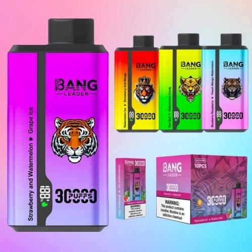 Bang Leader 30000パフ デュアルフレーバー使い捨て電子タバコ｜0％・2％・3％・5％対応｜LEDディスプレイ搭載｜電子タバコ卸売対応